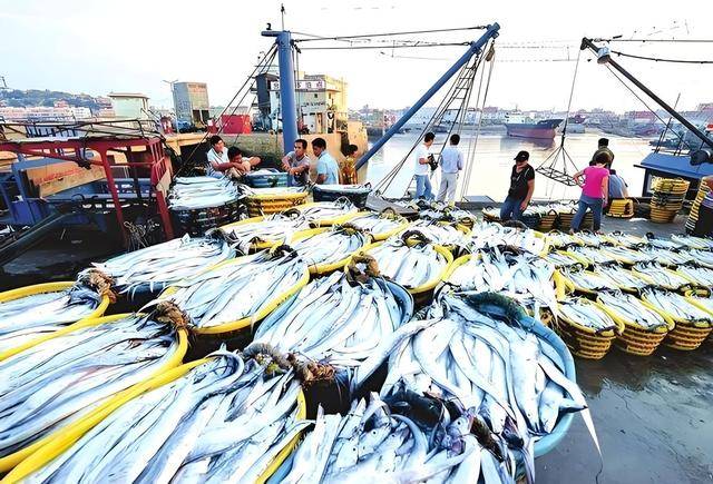 局三大新兴产业蓝色增长极正在形成ky开元棋牌青岛海洋经济遇转型布