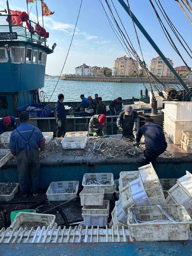 局三大新兴产业蓝色增长极正在形成ky开元棋牌青岛海洋经济遇转型布(图3) 局三大新兴产业蓝色增长极正在形成ky开元棋牌青岛海洋经济遇转型布(图3)